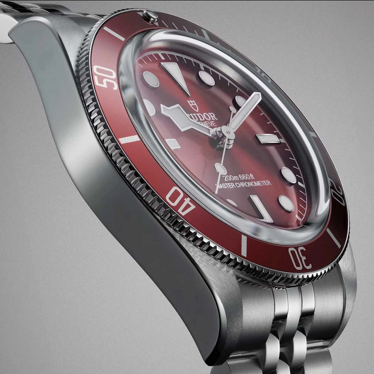 TUDOR Black Bay | 58